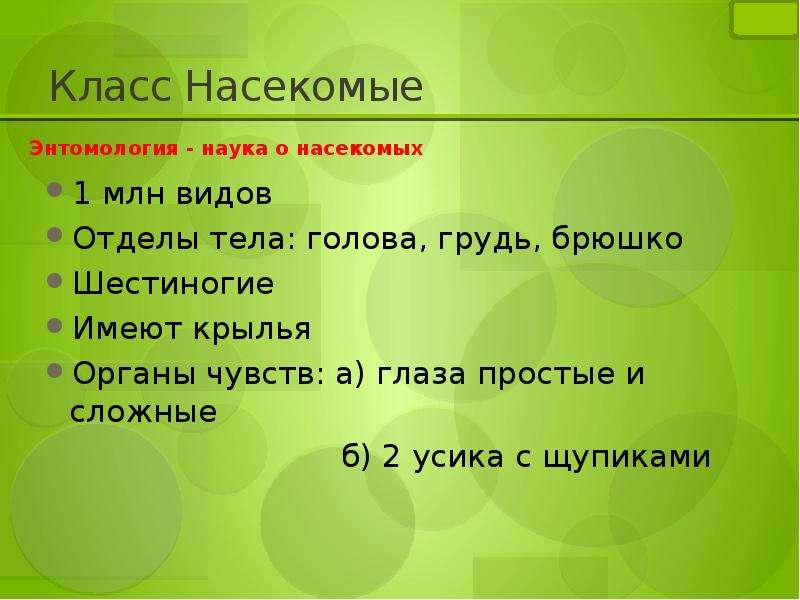 План характеристики насекомых