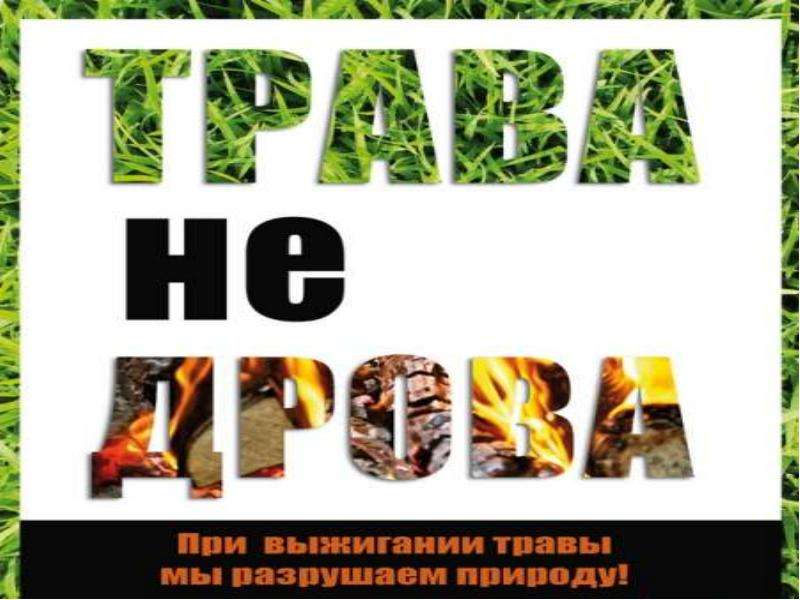 Пал сухой травы презентация