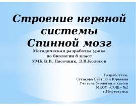 Презентация строение. Строение нервной системы спинной мозг 8 класс презентация Колесов. Строение спи́нного мозга в биологии 8 класс Пасечник. Кроссворд строение нервной системы спинной мозг. Строение нервной системы и ее значение 8 класс Пасечник презентация.