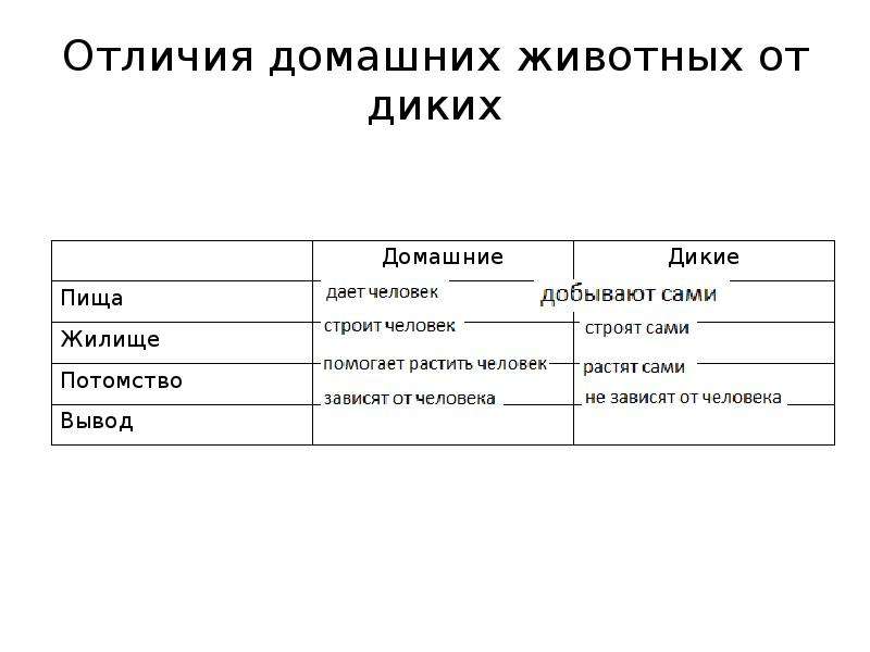 Домашние и дикие животные различия в условиях жизни 1 класс презентация