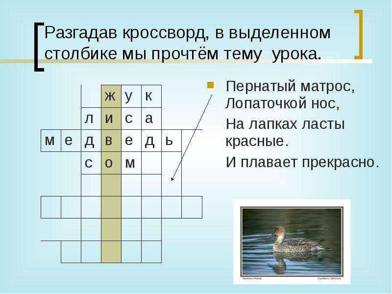 Кроссворд окружающий мир 2 класс презентация