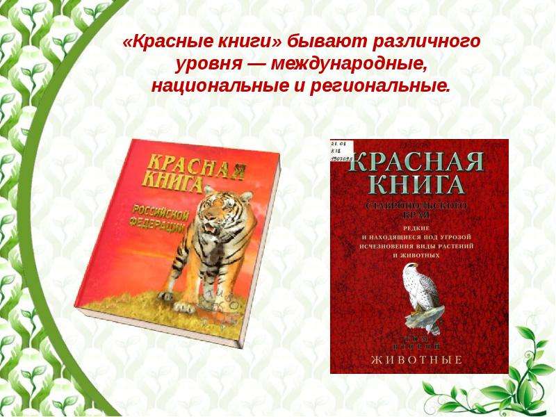 Презентация красная книга для детей подготовительной группы