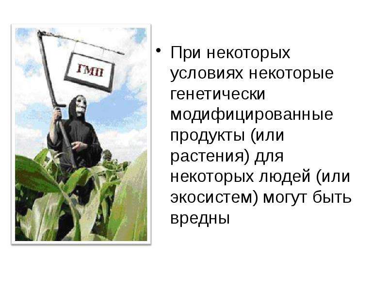 Протокол гмо. Генетически модифицированные растения. ГМО. Гипотеза ГМО. Генетически модифицированные растения и их практическое значение.