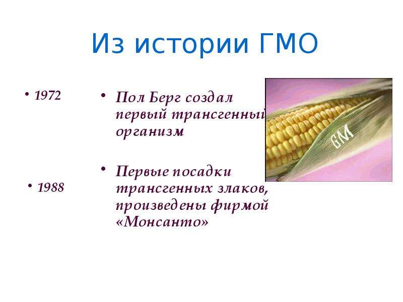 Генномодифицированные организмы проект