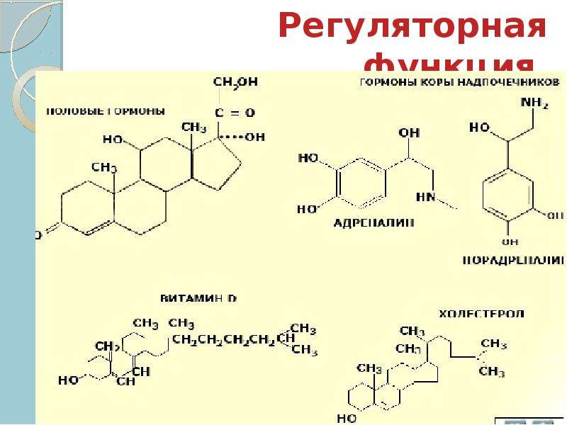 Презентация по органической химии 10 класс