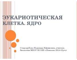 Эукариотическая клетка. Ядро