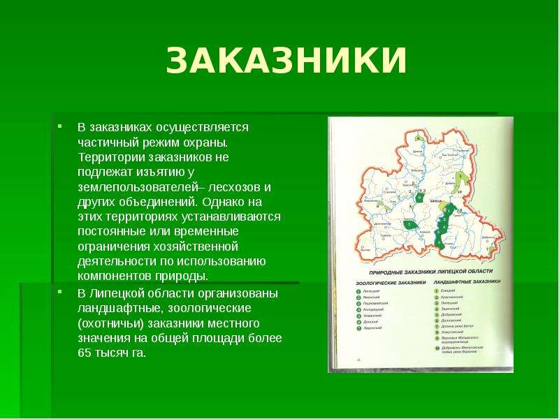 Заповедник и заказник. Заказники хозяйственная деятельность. Природные заповедники Липецкой области. Характеристика заказника. ООПТ Липецкой области.