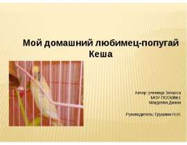 Творческий проект "Мой друг Кеша"