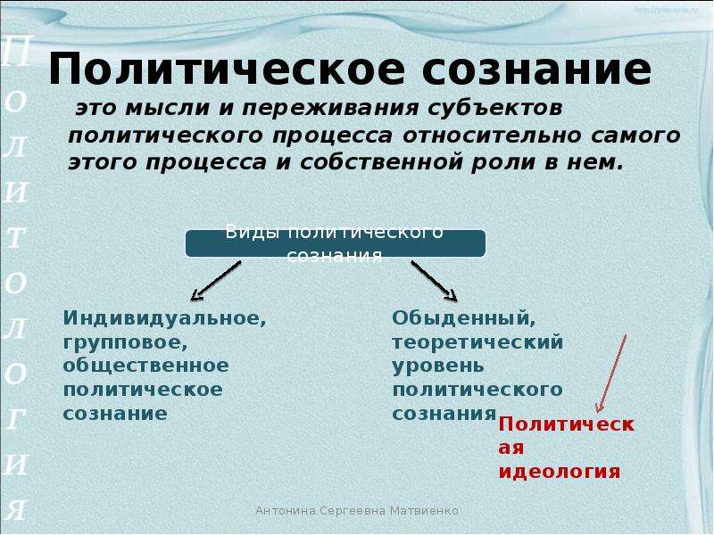 Политическое поведение развернутый план