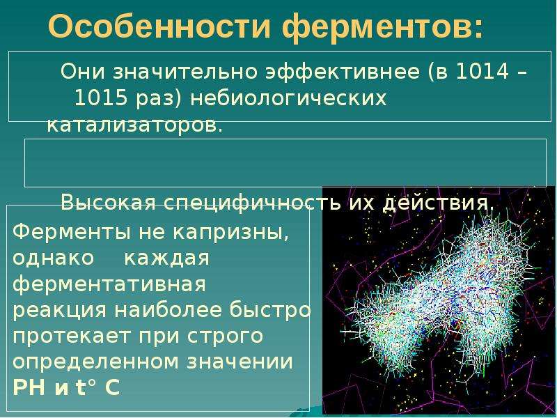 Презентация по ферментам 10 класс