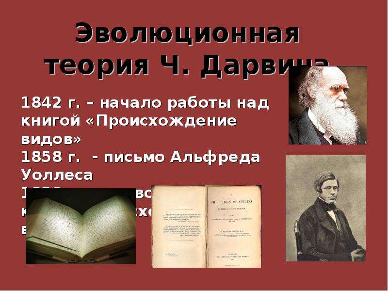 1858 Г. - письмо Альфреда Уоллеса. Происхождение видов. Уоллес теория эволюции. Теория эволюции первая книга.