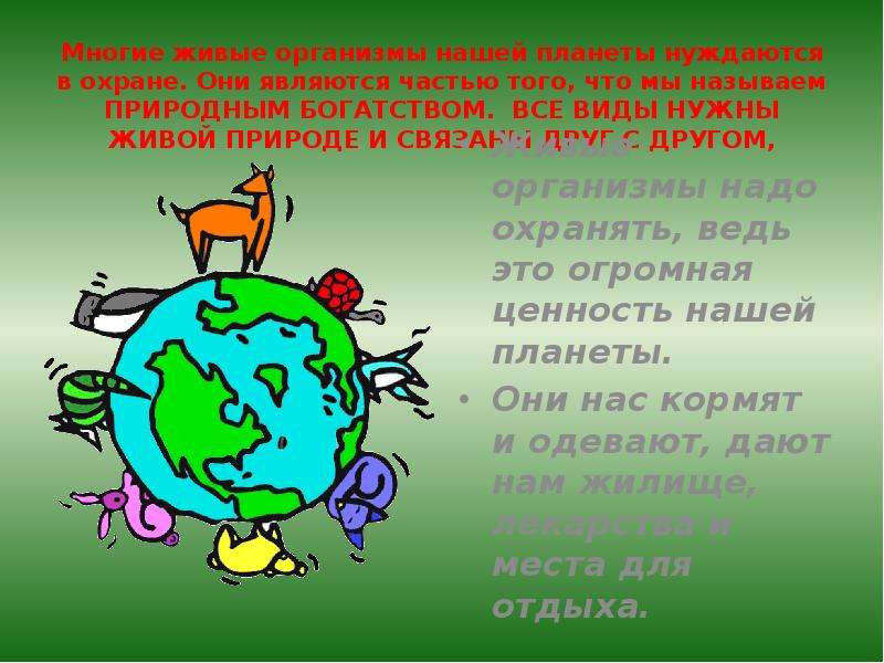 Презентация по биологии 5 класс важность охраны живого мира планеты 5 класс