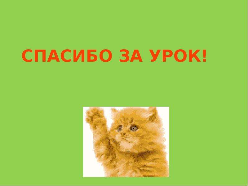 Ты молодец картинка с котиком