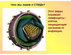 Что мы знаем о СПИДе?