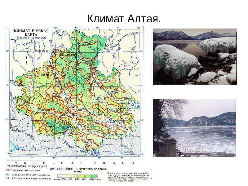 Алтайский заповедник проект