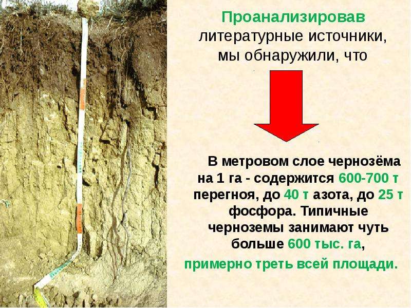 Презентация о черноземе