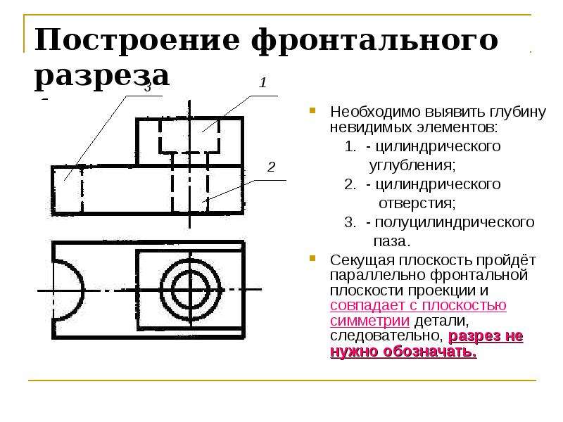 Фронтальный разрез правильно выполнен на рисунке