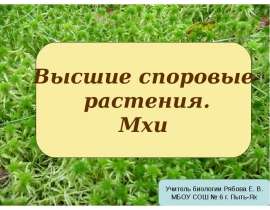 Высшие споровые растения. Мхи