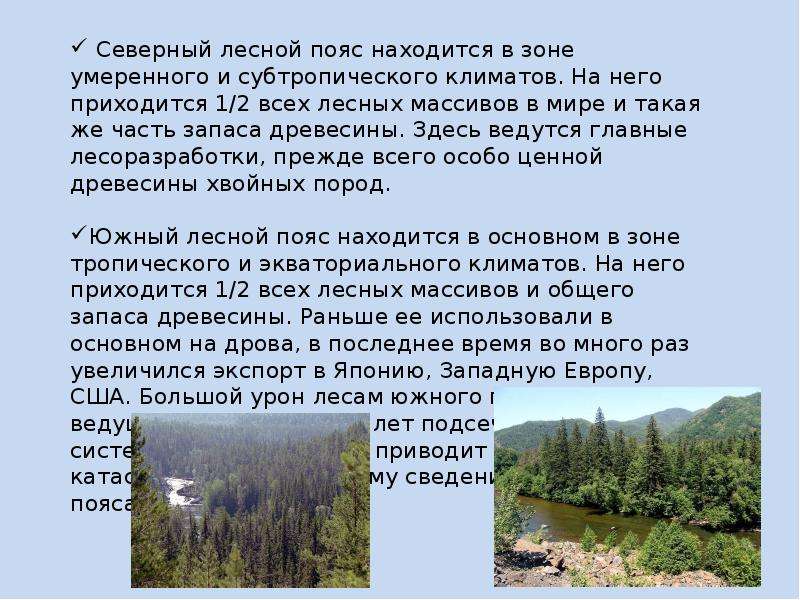 Пояса лесов. Северный Лесной пояс. Южный Лесной пояс. Страны Северного лесного пояса. Страны Южного лесного пояса на карте.