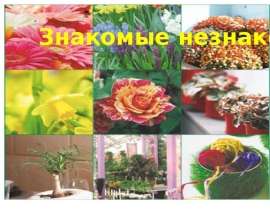 Знакомые незнакомцы