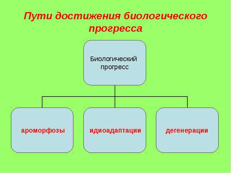 Пути достижения биологического прогресса. Пути достижения макроэволюции. Пути достижения биологического прогресса макроэволюции. Путями достижения биологического прогресса являются.