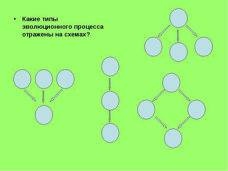 Определите какой эволюционный процесс изображен на схеме