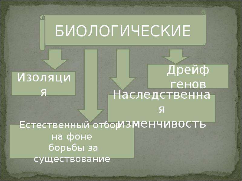 Движущие силы антропогенеза презентация 11 класс