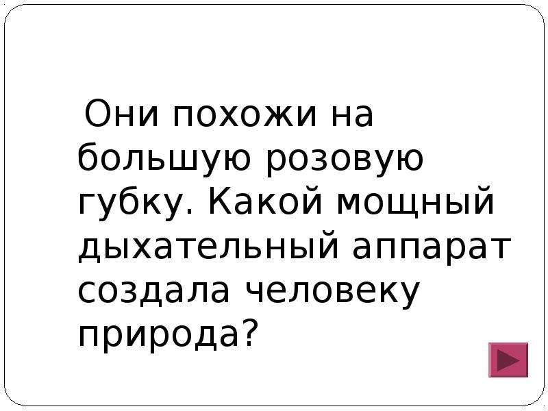 Они похожи. Они похожи на большую розовую губку 3 класс окружающий мир ответы тест.