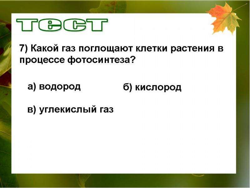 Какой газ растения. Какой ГАЗ поглощают растения. Задания по теме «фотосинтез» 6 кл.. Какой ГАЗ поглощает растения проект. Воздушное питание растений фотосинтез вопросы 5 класс.