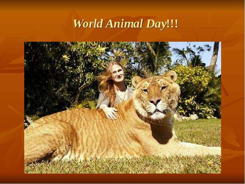 World Animal Day!!!