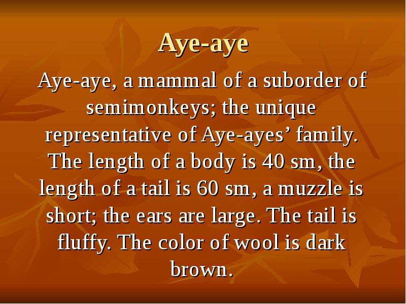 Aye-aye Aye-aye, a mammal of a suborder of semimonkeys; the unique representative of Aye-ayes’ famil