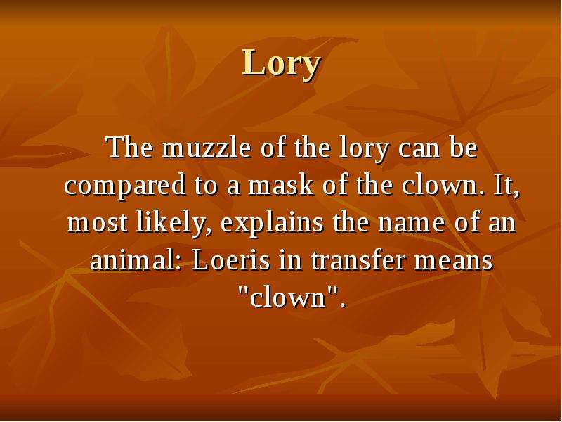 Lory The muzzle of the lory can be compared to a mask of the clown. It, most likely, explains the na