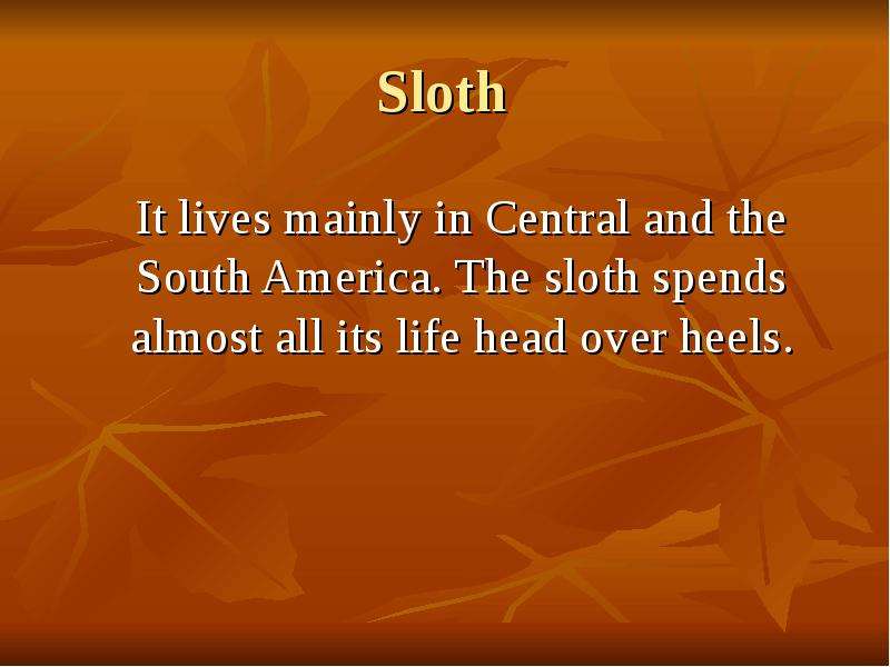 Sloth It lives mainly in Central and the South America. The sloth spends almost all its life head ov