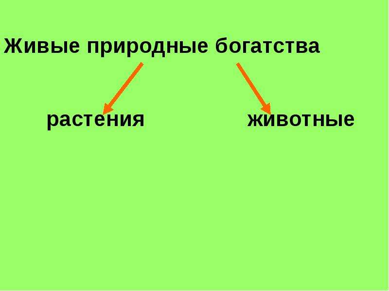 Богатства природы людям. Презентация богатства природы. Проект богатства природы. Богатства природы отданные людям. Доклад на тему богатства природы.