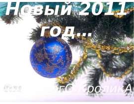 Новый 2011 год