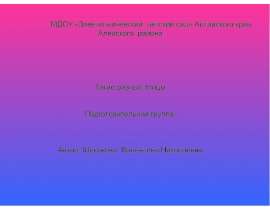 Такие разные птицы