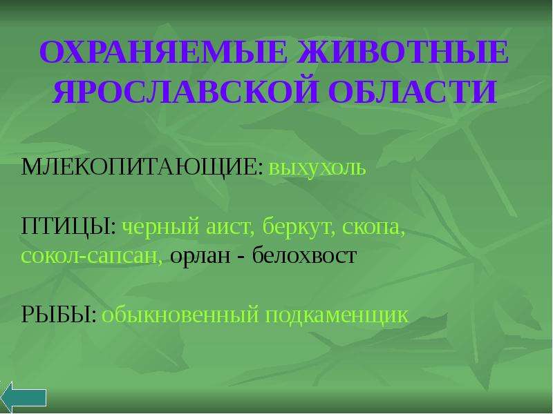 Растения из красной книги ярославской области фото и описание