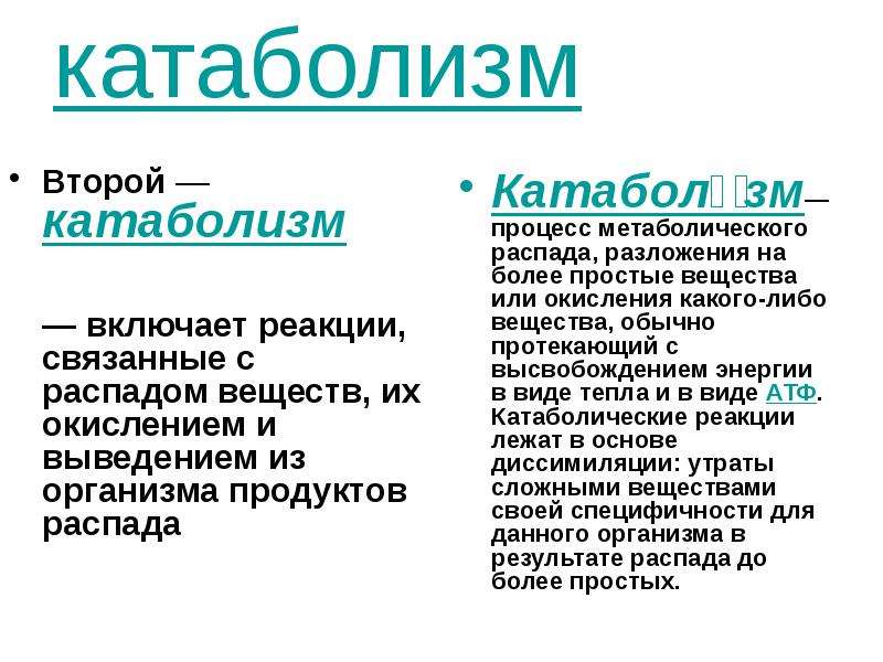 Катаболизм и энергетические процессы. Катаболизм. Катаболизм в организме. Катаболизм это кратко. Катаболические процессы.