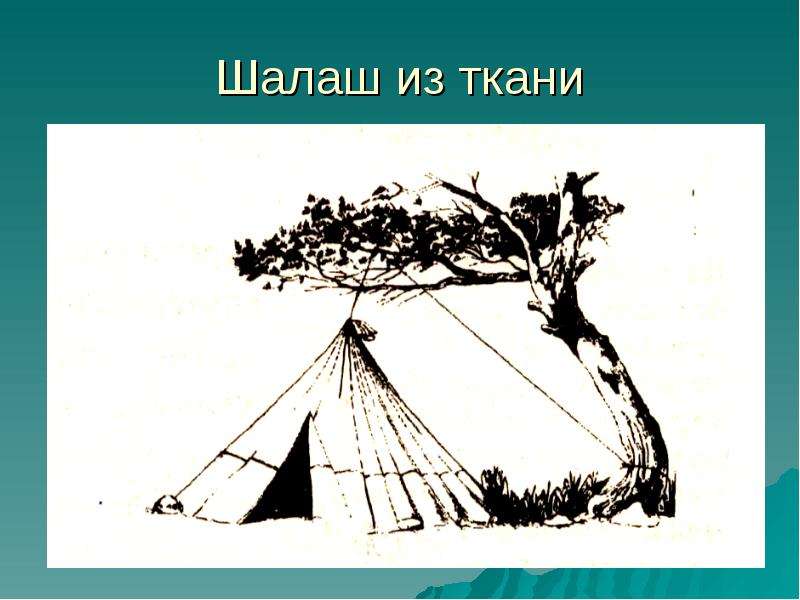 Презентация выживание в природных условиях