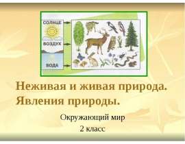 Неживая и живая природа. Явления природы (2 класс)