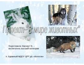 Проект "В мире животных"