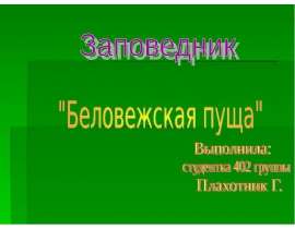 Беловежская пуща