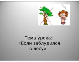 Как ориентироваться в лесу