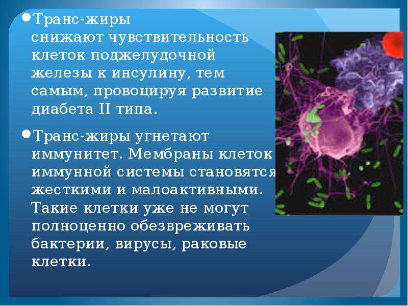 Питание клетки. Трансжиры влияние на клетки. Чувствительные клетки в биологии. Чувствительность клеток. Мембрана клетки и трансжиры.