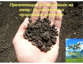 Рынок земли и природных ресурсов
