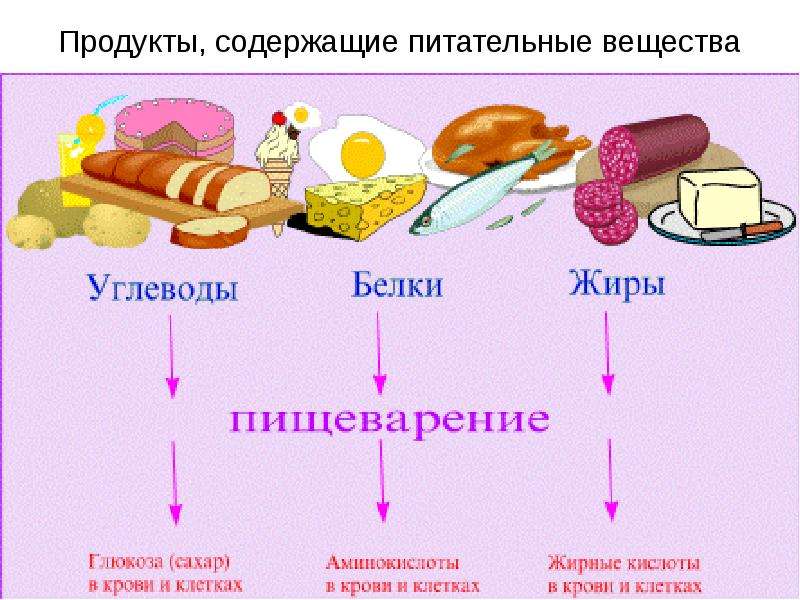 Питательные вещества 3 класс окружающий мир презентация