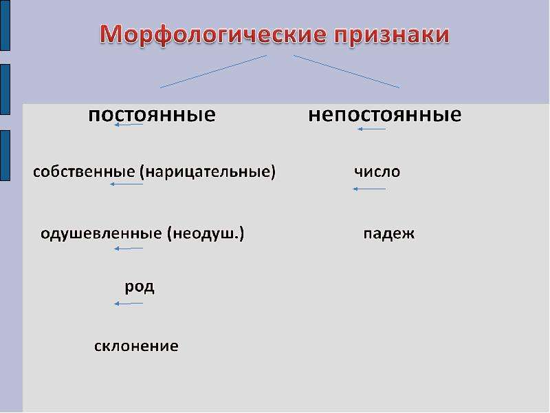 Непостоянные признаки. Постоянные признаки. Постоянные и непостоянные морфологические признаки. Постоянный и непостоянный признак. Непостоянные морфологические признаки.