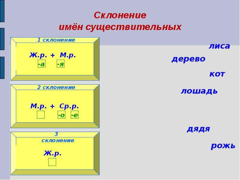 Презентация 1 склонение. Лошадь склонение. Кот какое склонение. Лиса склонение. Котик склонение.