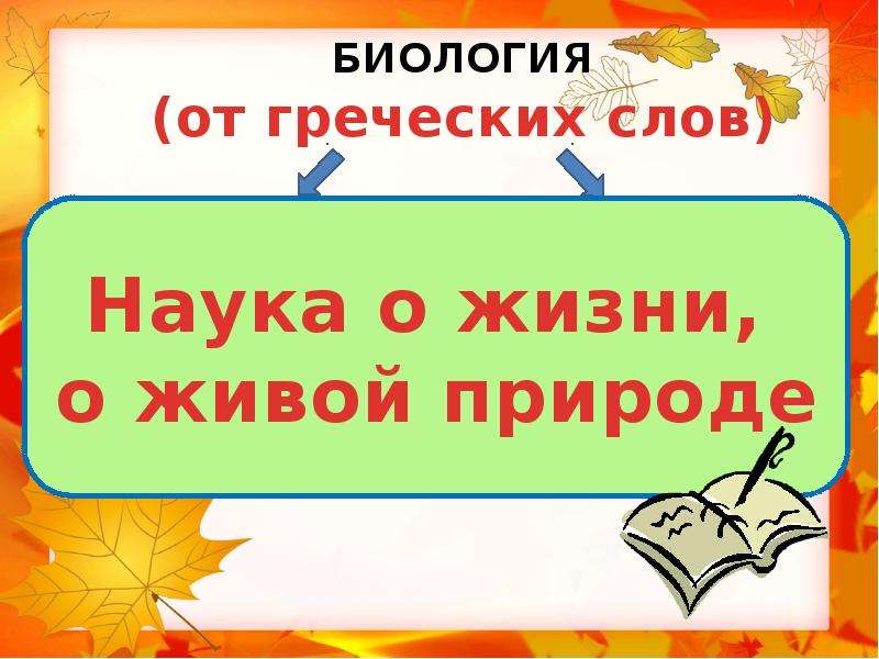 Сохраним богатство живого мира 5 класс биология презентация