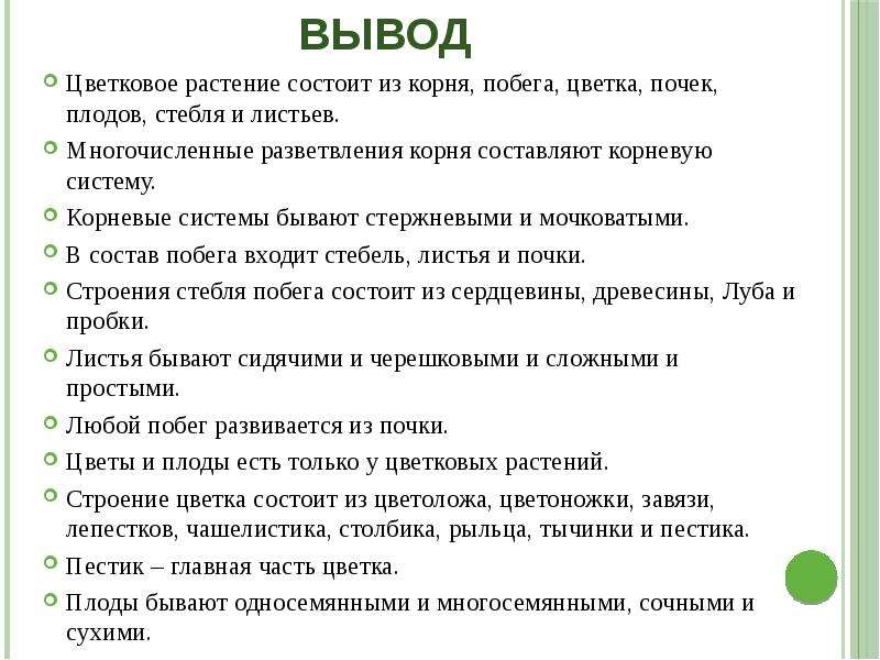 Биология 6 класс презентация органы растений